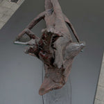 Lizard - Bog Oak Sculpture