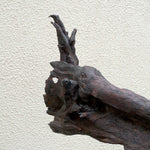 Lizard - Bog Oak Sculpture