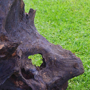 Rabbit - Bog Oak Sculpture
