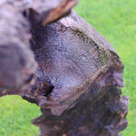 Rabbit - Bog Oak Sculpture