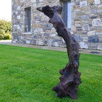 Large Bog Oak Sculpture subtly resembling a rabbit